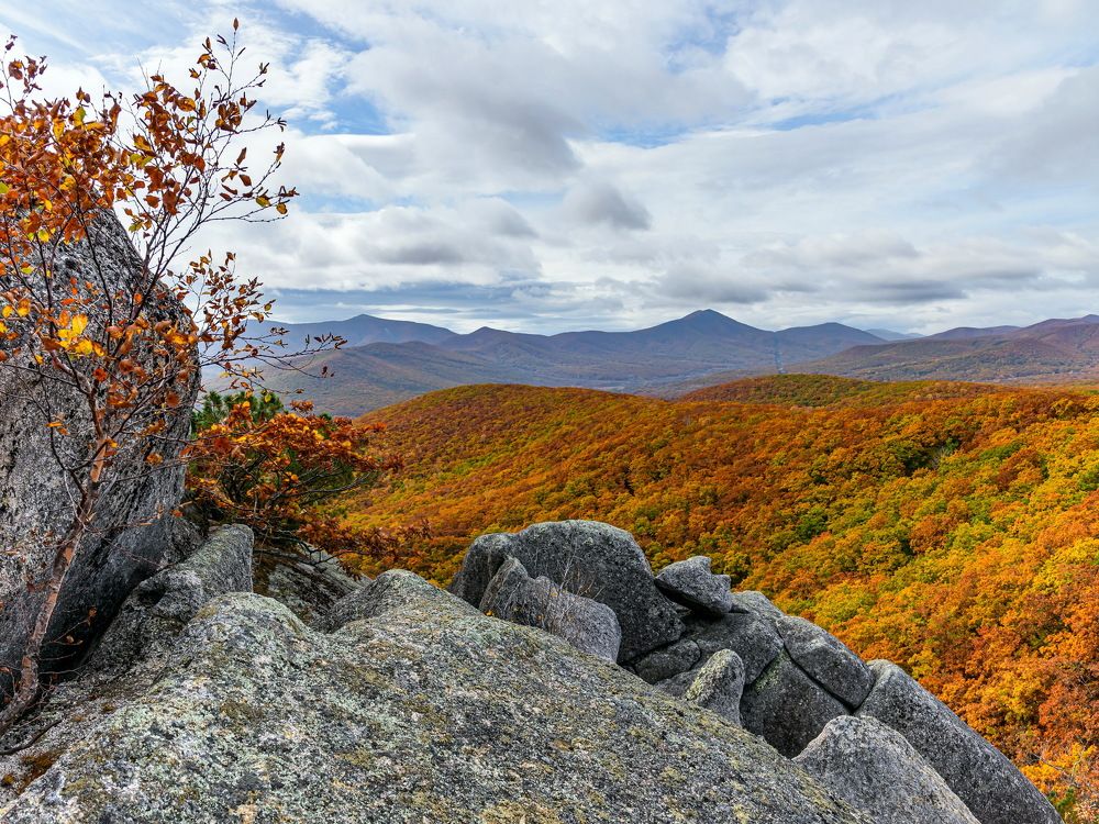 Осенняя "Самоварка"