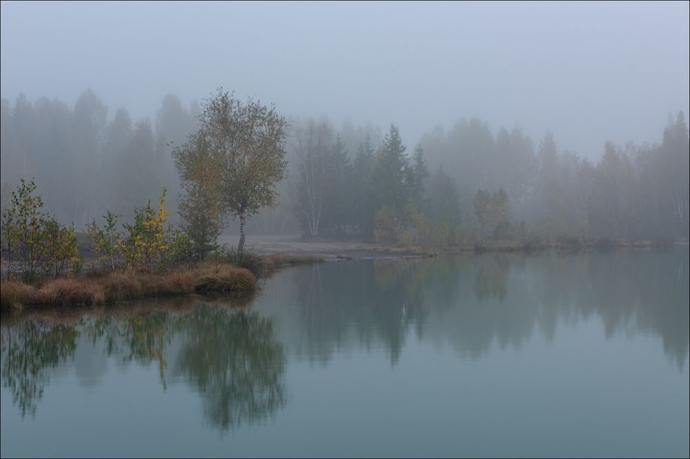 Туманное утро
