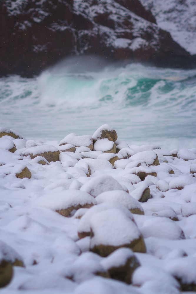 Photo 2491612