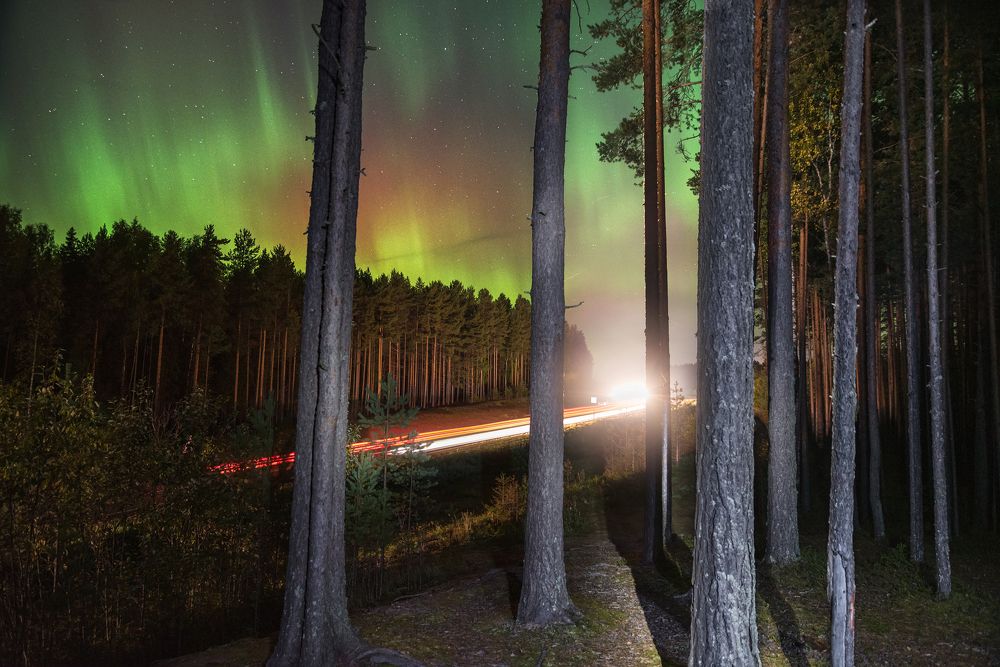 Aurora
