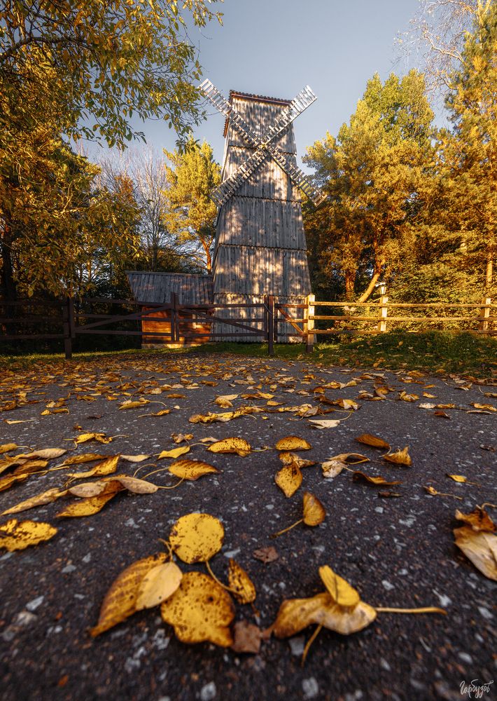 Поленово осенью
