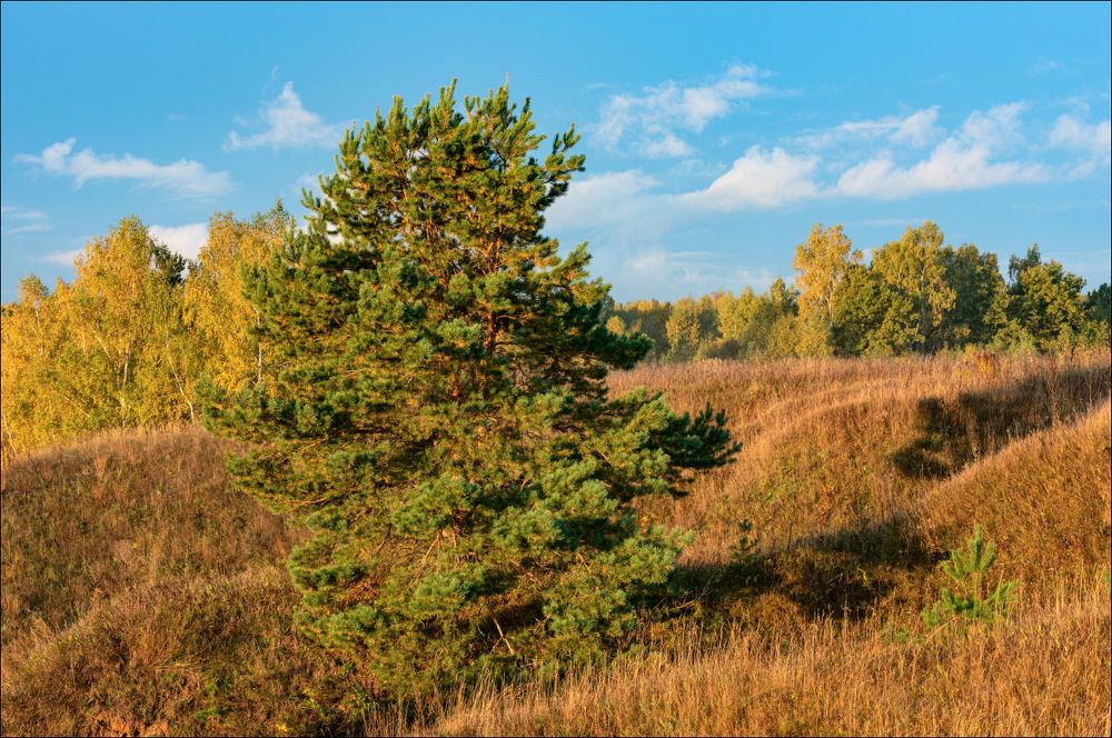 Берег в тёплых лучах утра