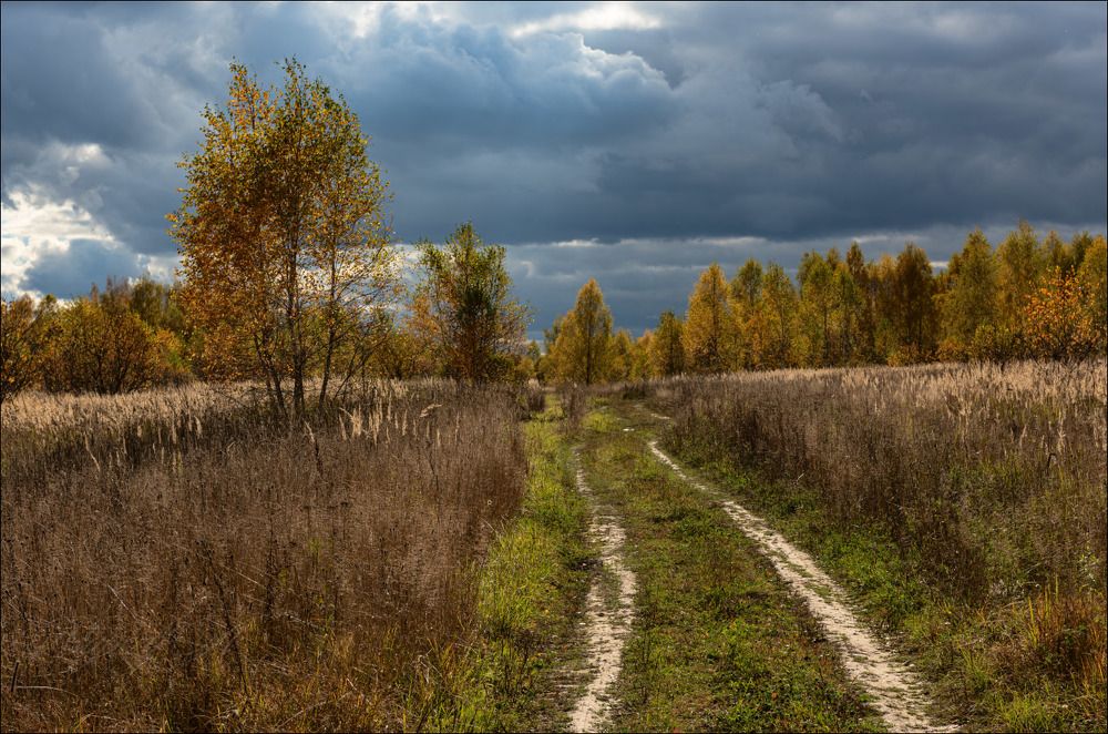 Свет октябрьского дня