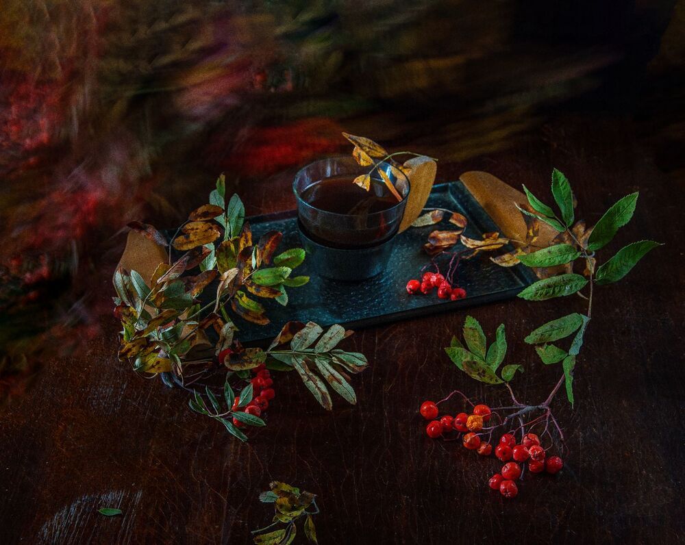 Photo 2493343