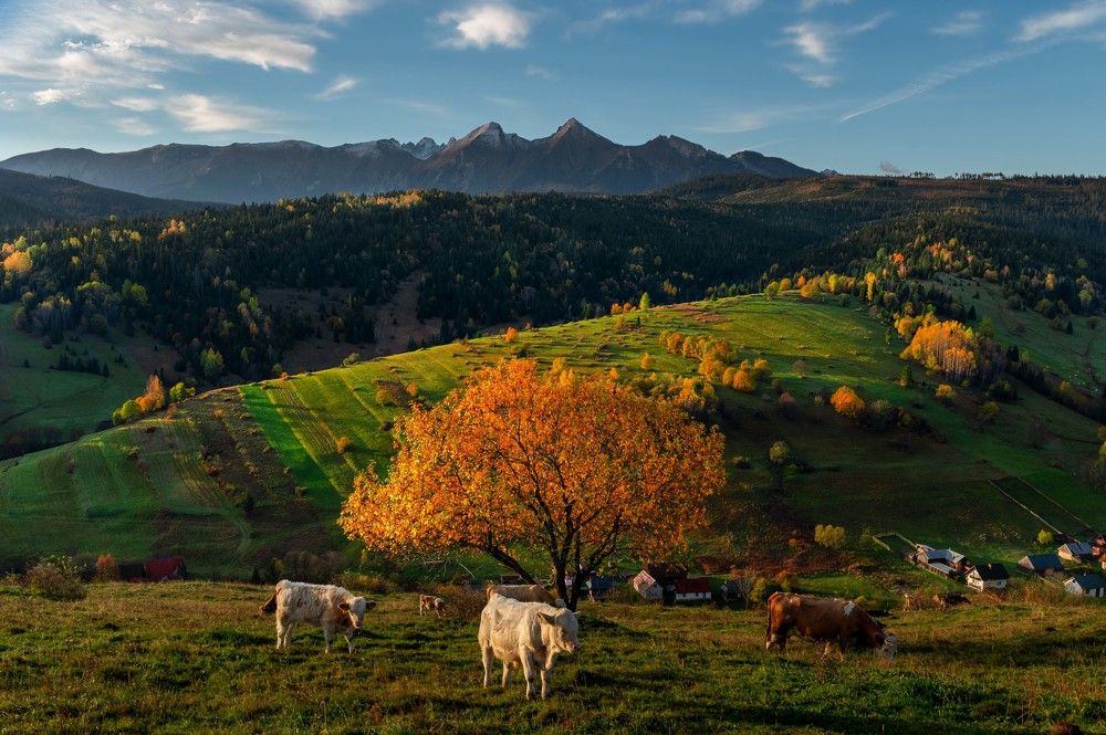 Autumn in Poland