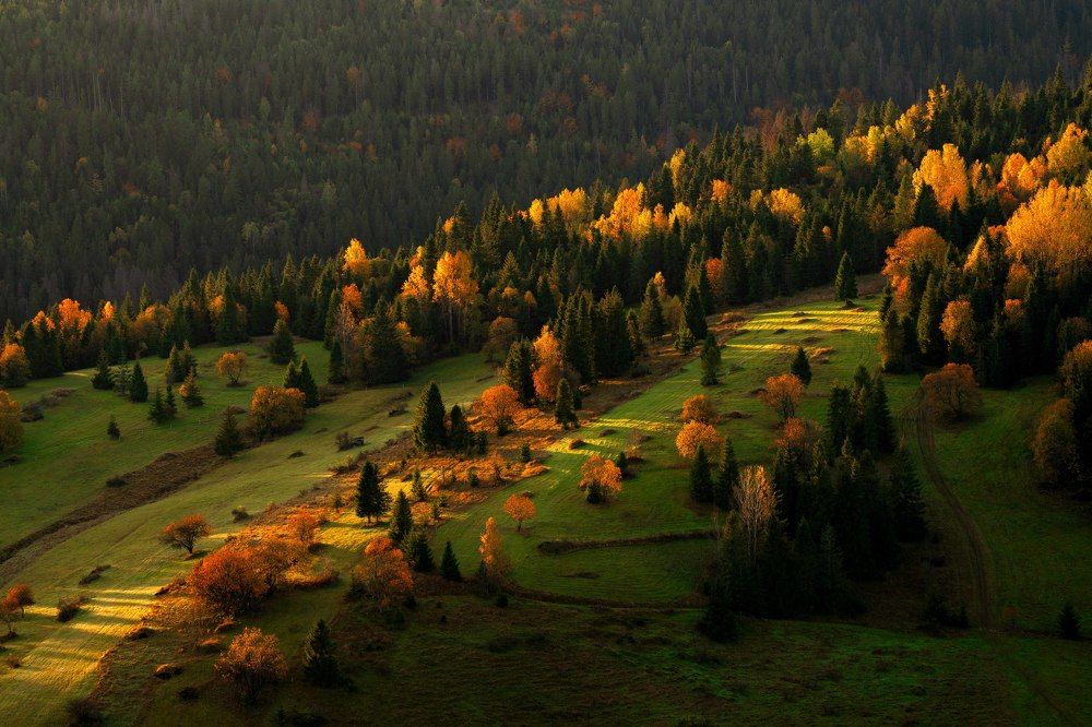 Autumn in Poland