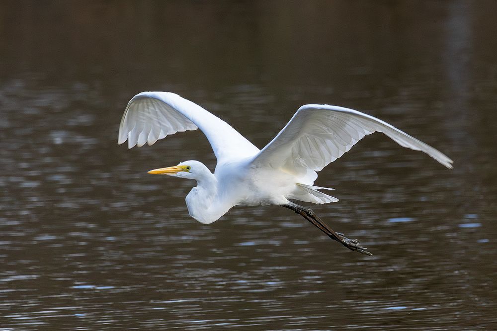 Photo 2496485