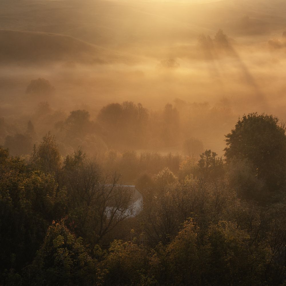 Пронские холмы