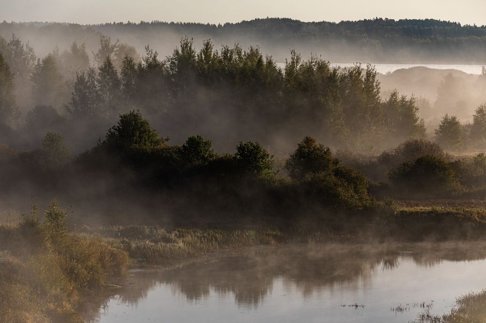 В пелене тумана