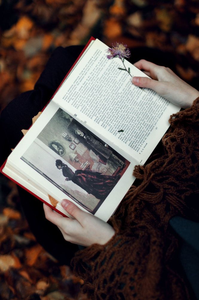 Photo 2498469