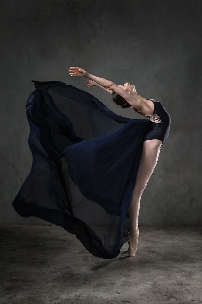 Photo 2498722