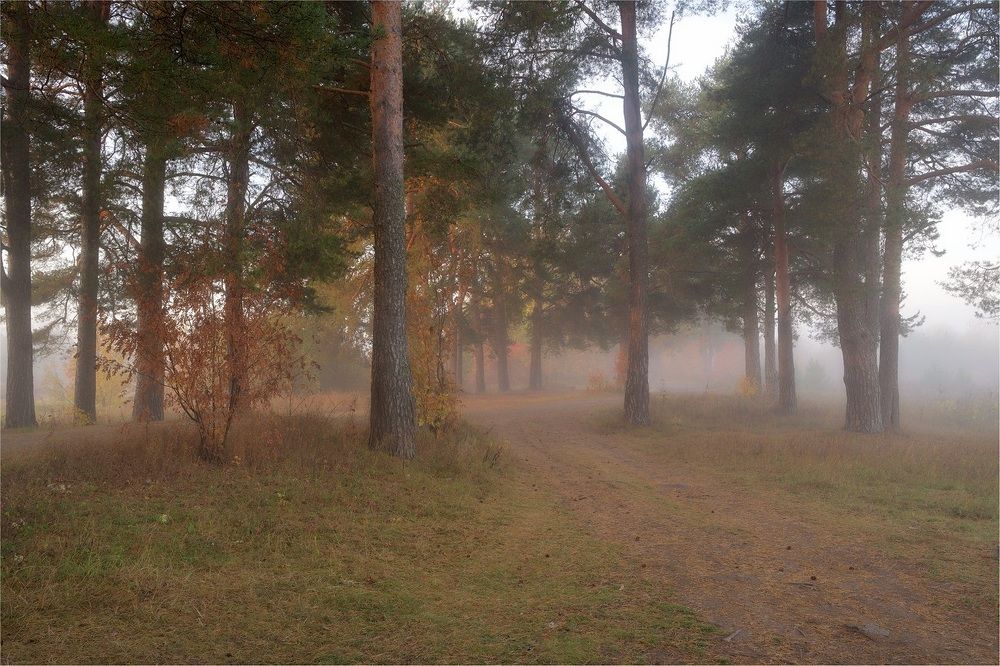 Туман и Солнце