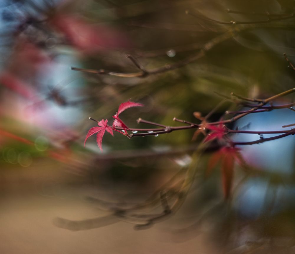 Photo 2499970
