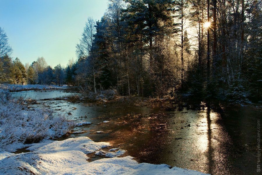 Прожектор