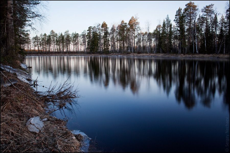 Лесная речка на рассвете. Карелия