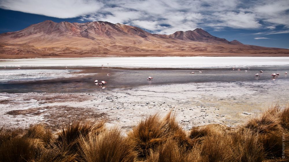 South America 2