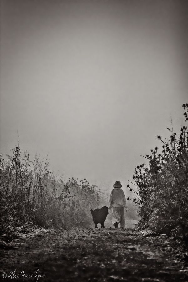 Into the Wild