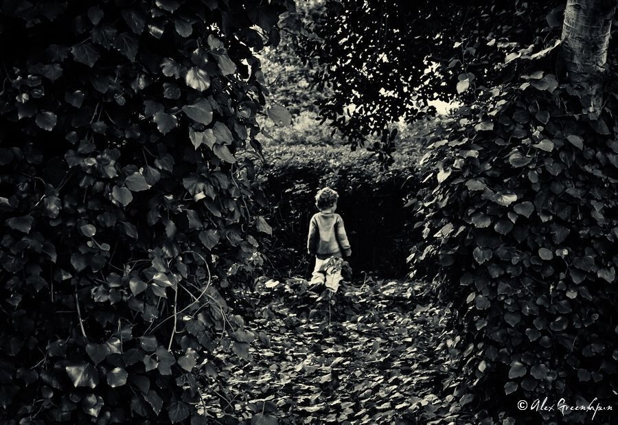 The Way Out is the Way In