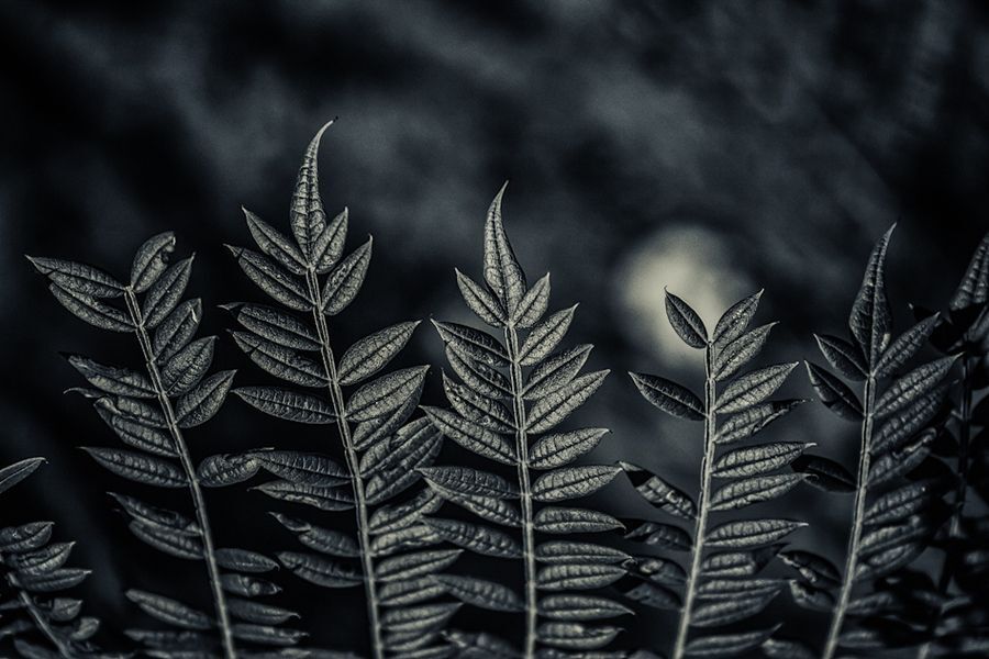 If the Moon had a Crown