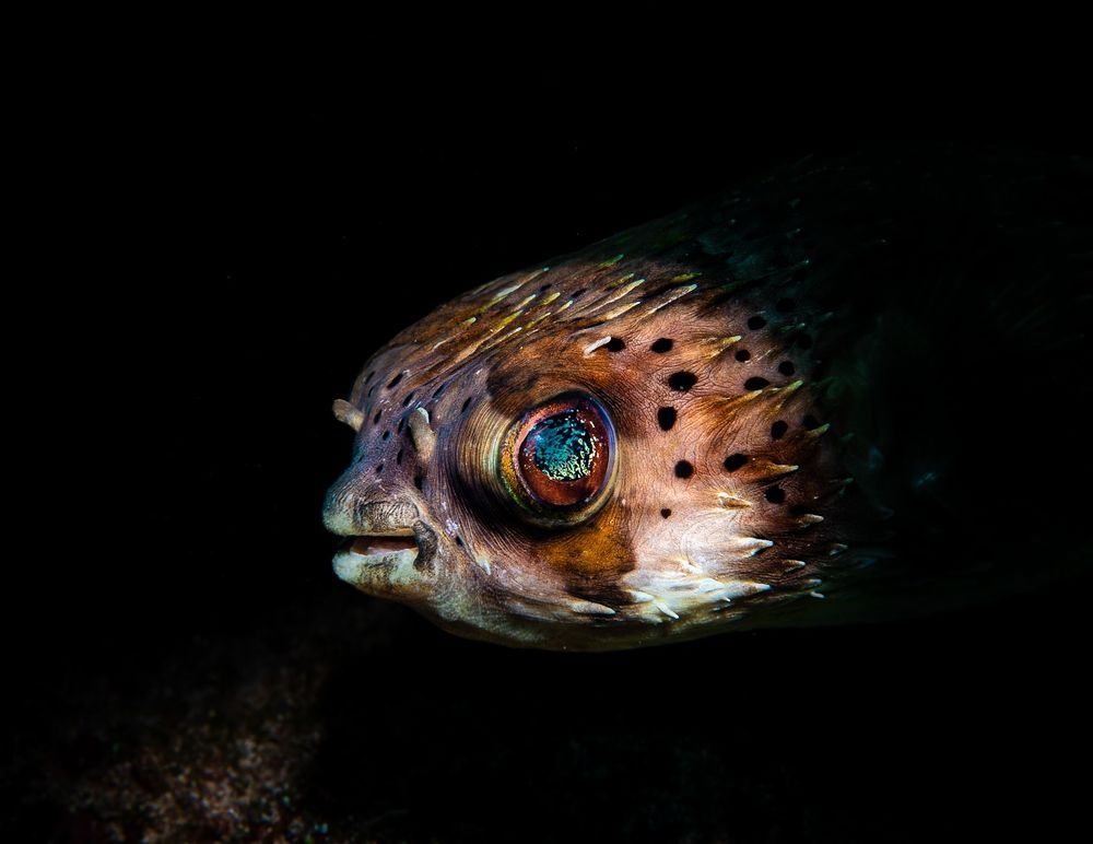 Underwater