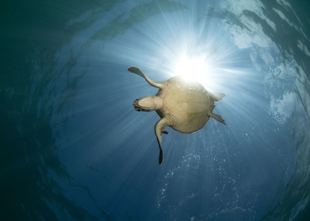 Underwater