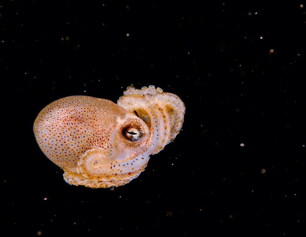 Underwater