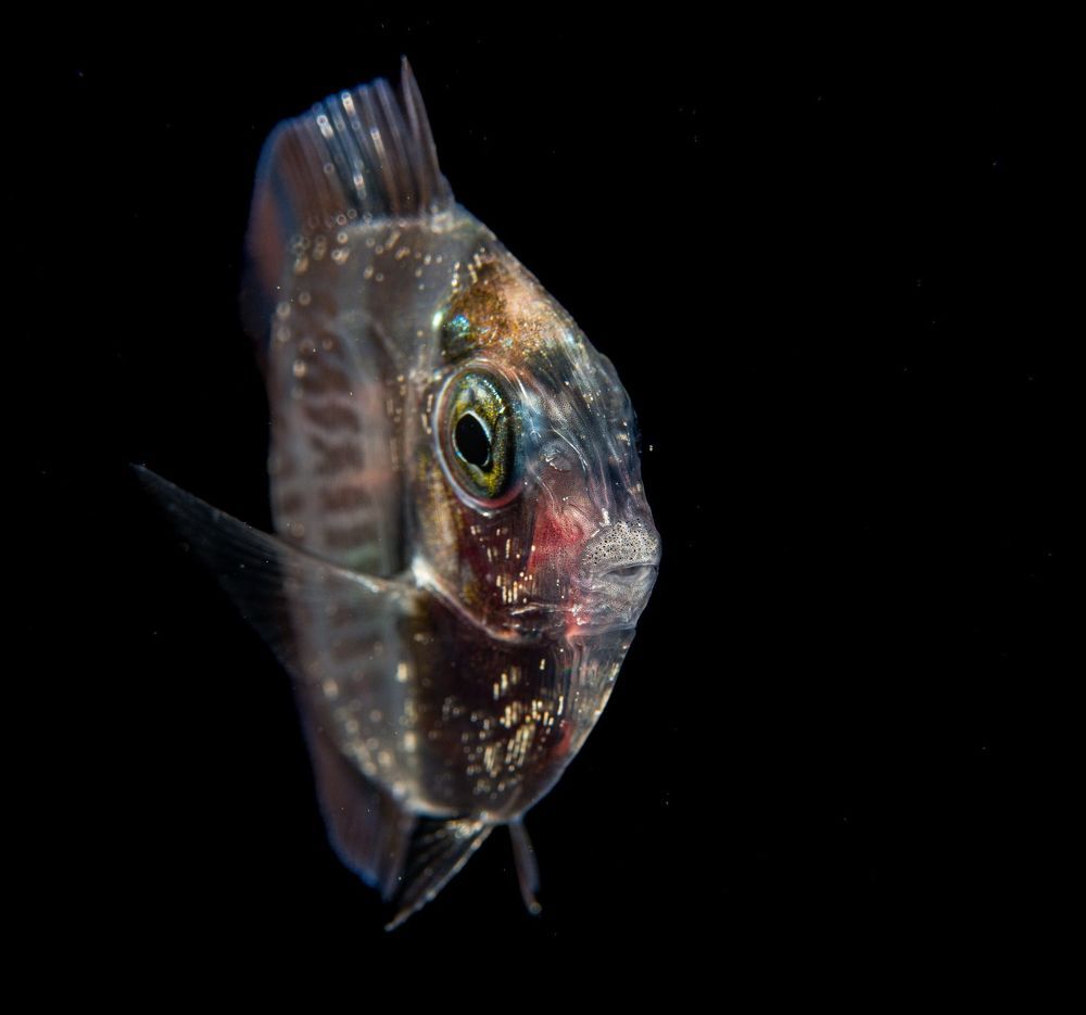 Underwater