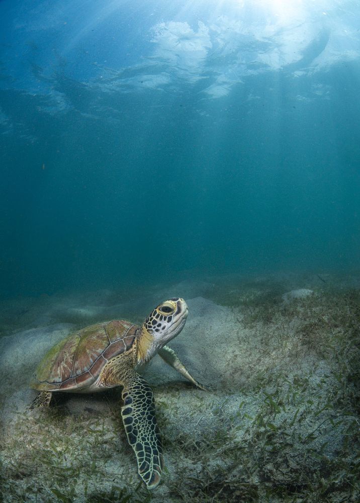 Underwater