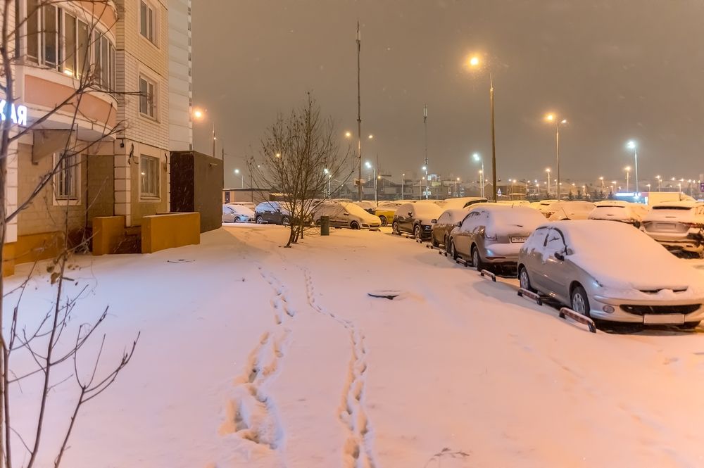 Снегопад в Новой Москве