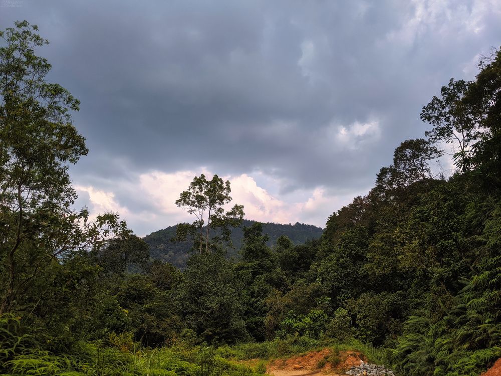 Sinharaja Forest Reserve