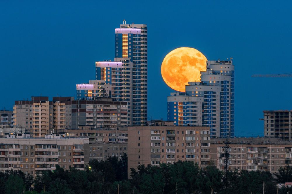 Мои работы