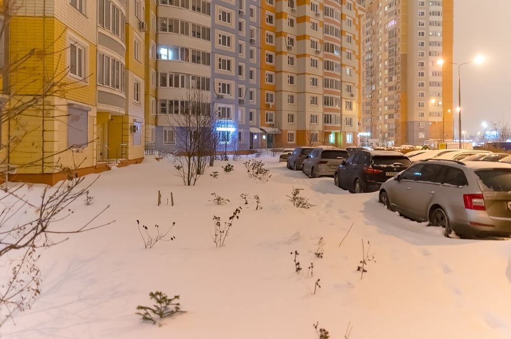 Снегопад в Новой Москве