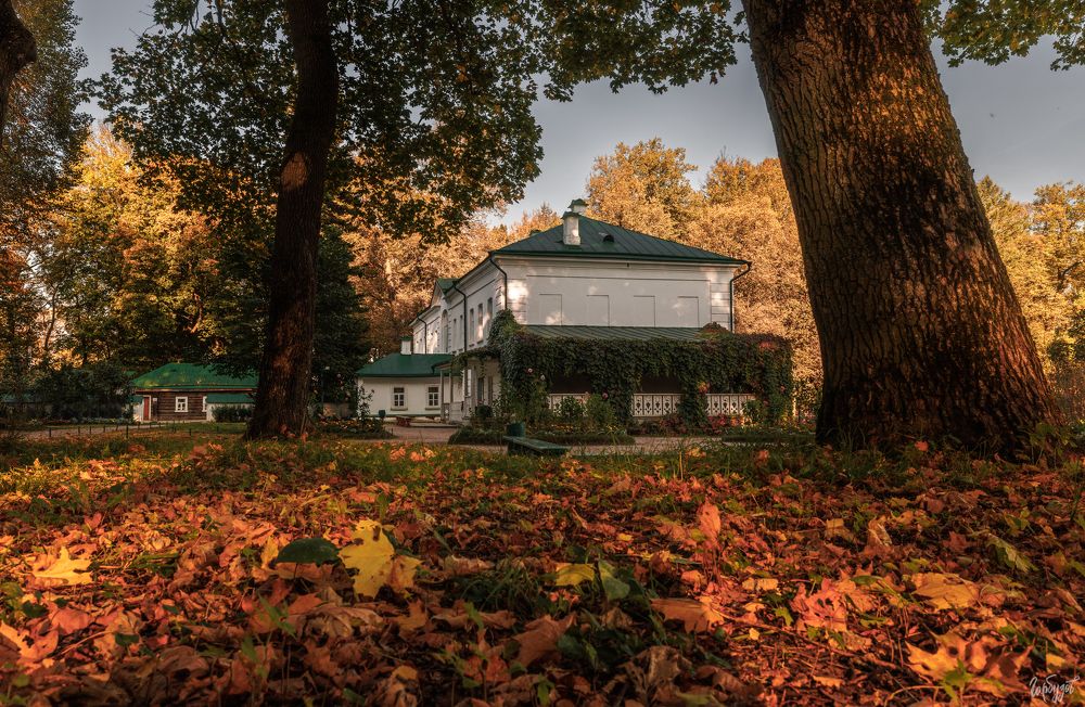 Осень в Ясной Поляне