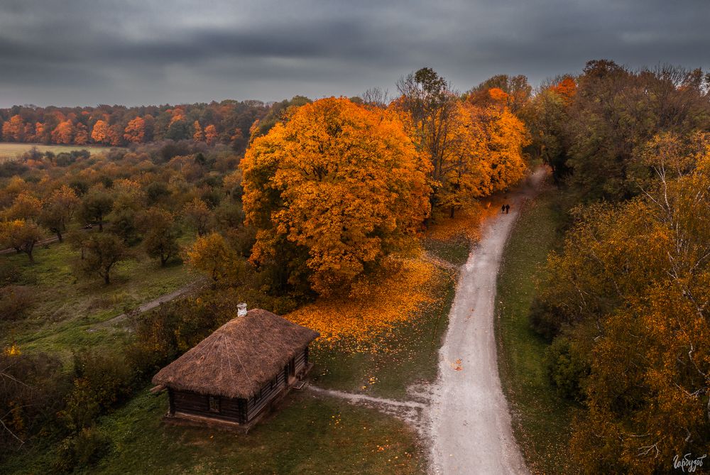 Осень в Ясной Поляне