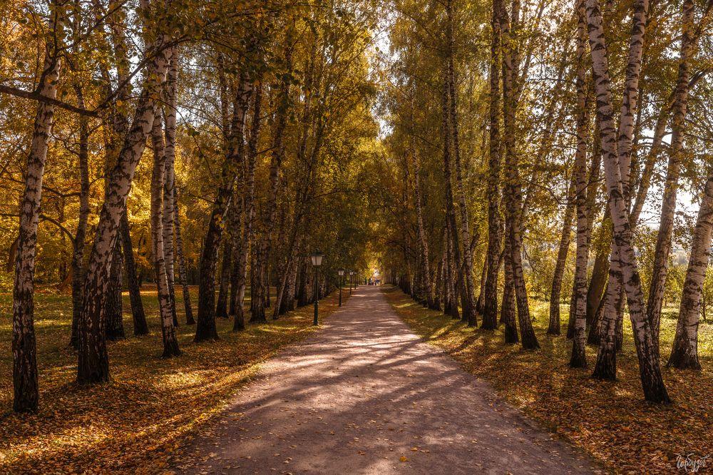 Осень в Ясной Поляне