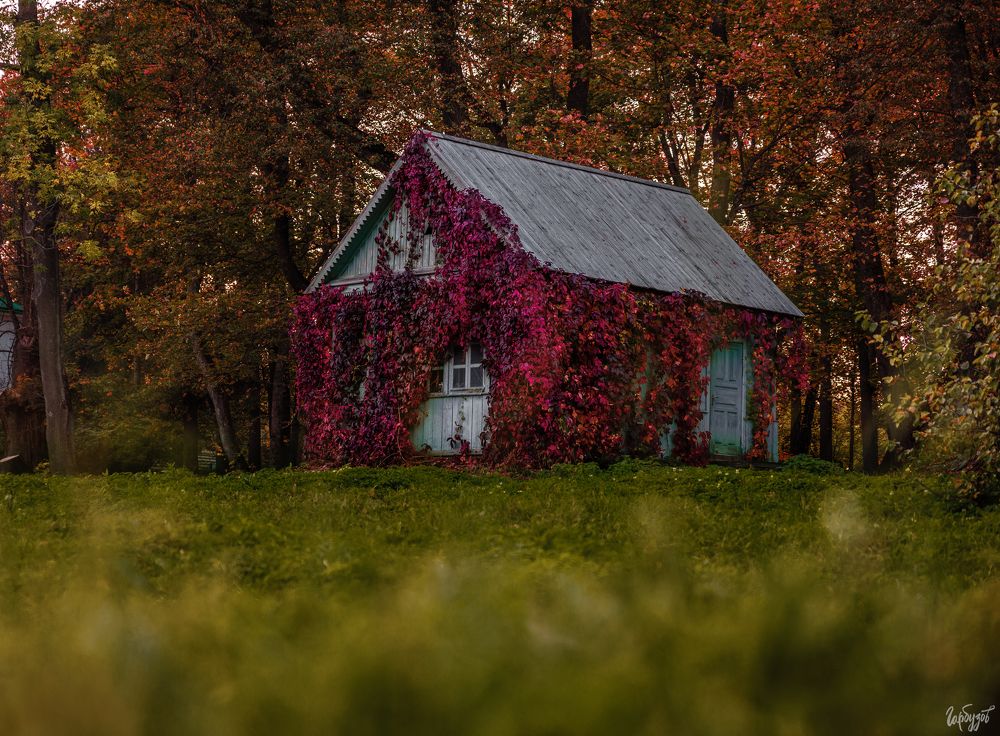 Осень в Ясной Поляне