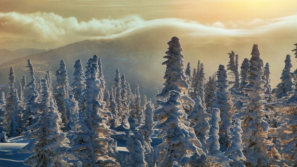 По горам, по лесам... Шерегеш