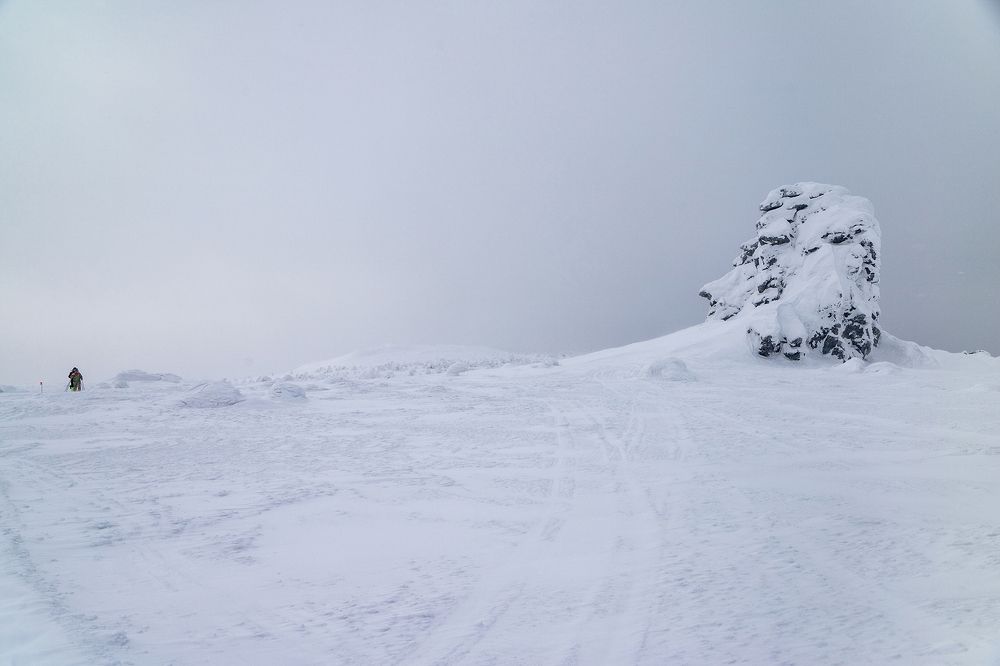 Photo 2506988