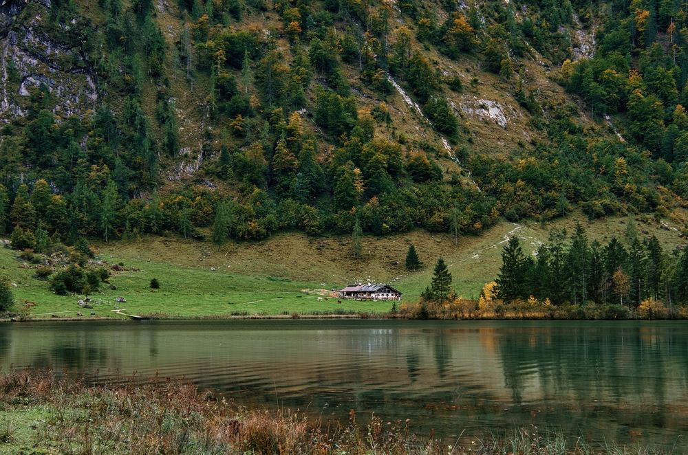 Баврские Альпы. ( Ферма на уровне предгорий)
