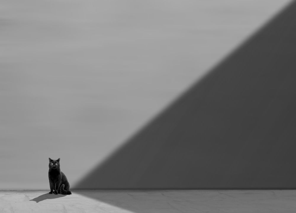 B&W Minimalism