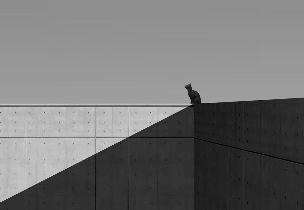 B&W Minimalism