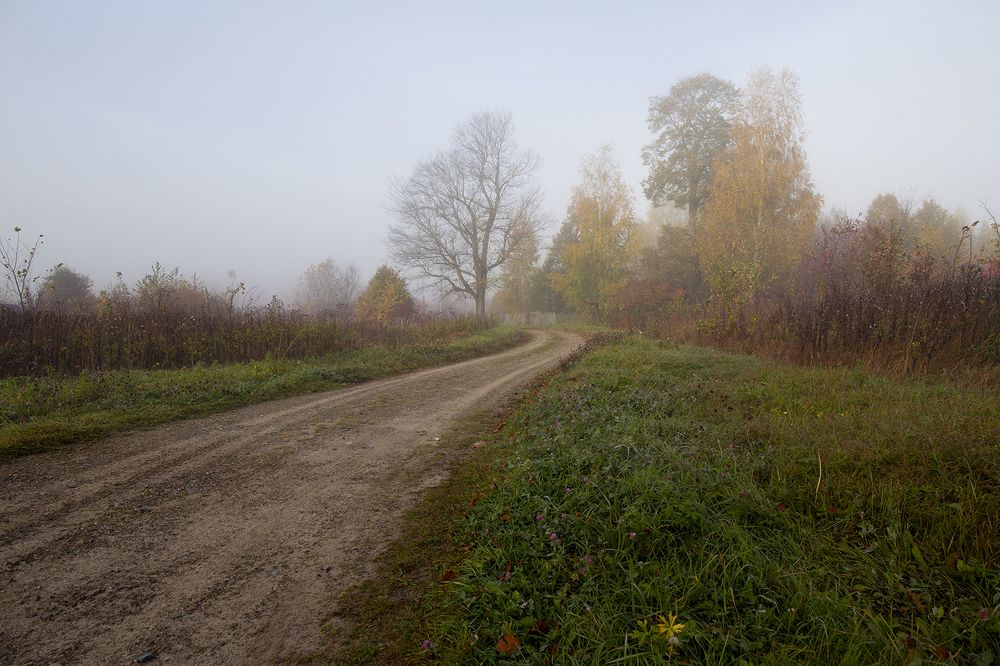 Photo 2509760