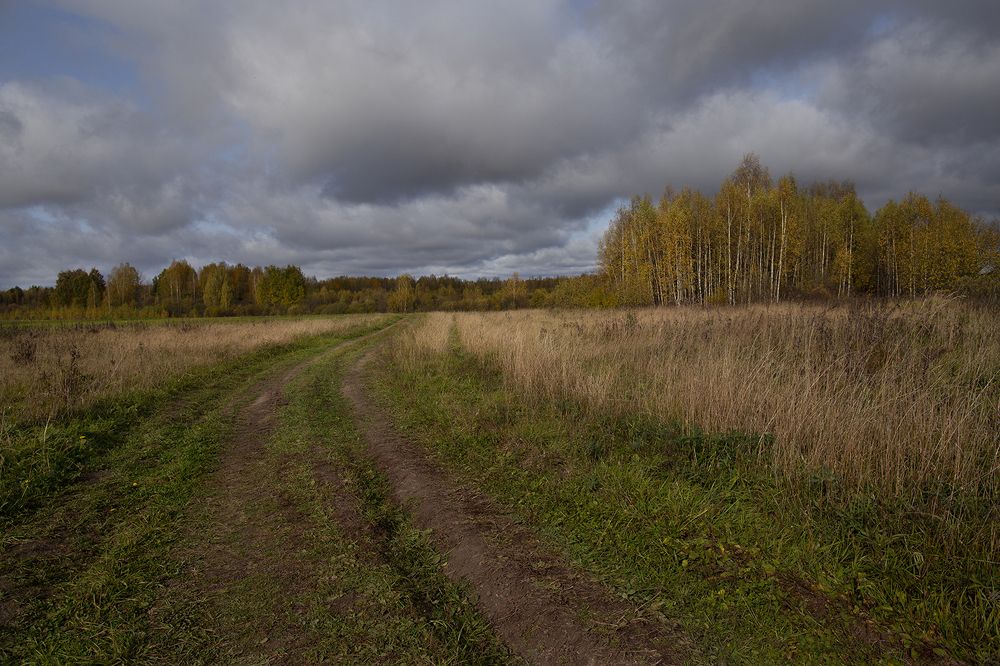 Photo 2509765