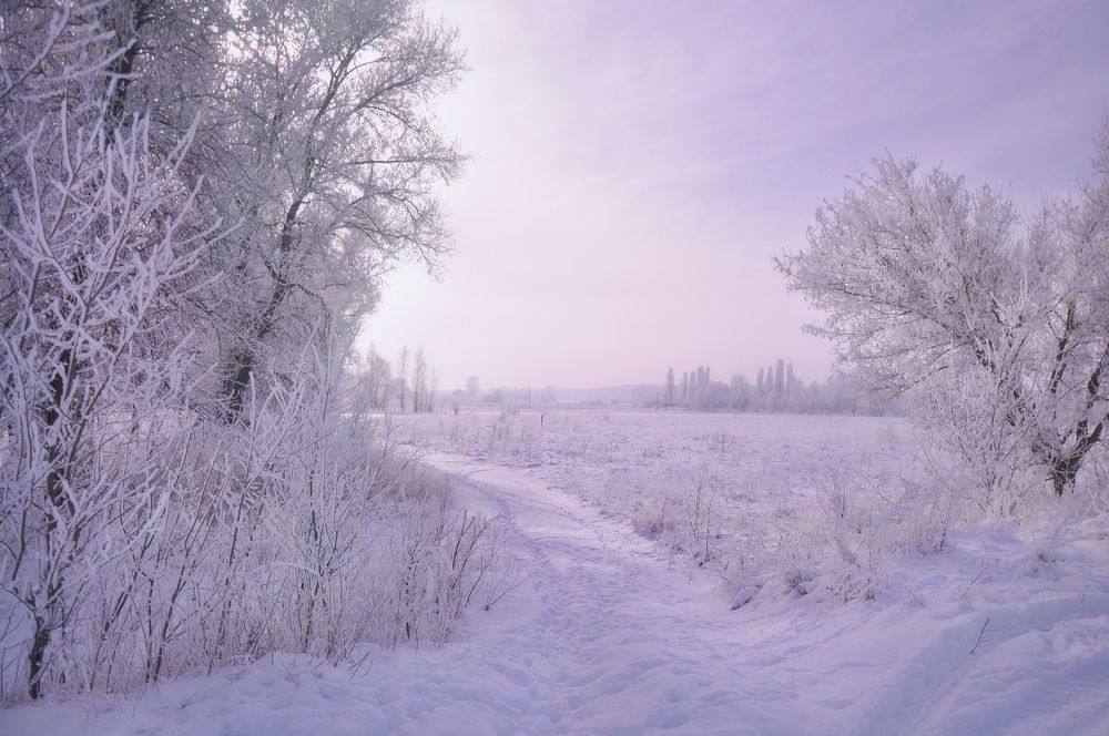Зимняя дорога