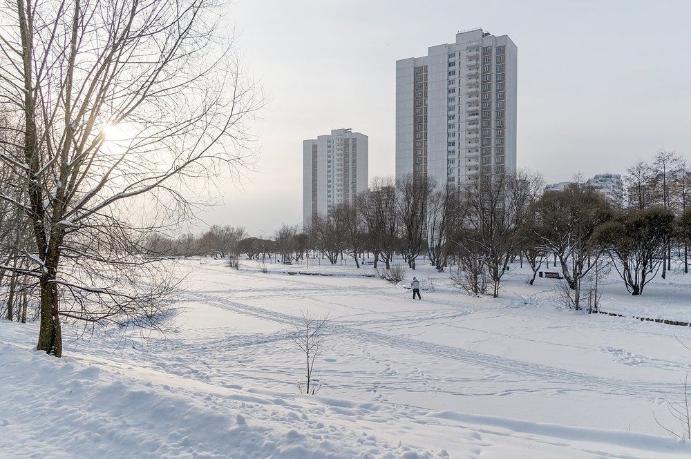 В зимнем парке у пруда