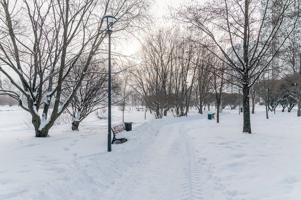 В зимнем парке у пруда
