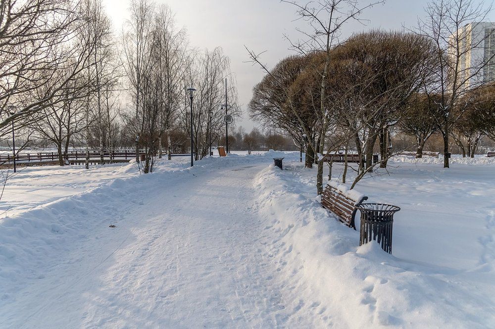 В зимнем парке у пруда