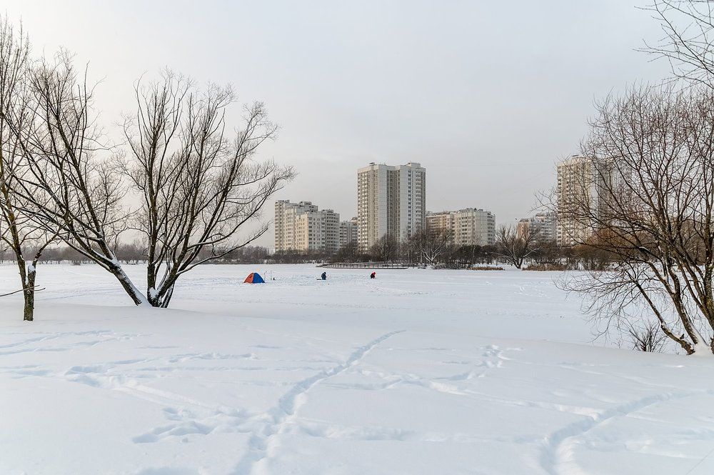 В зимнем парке у пруда