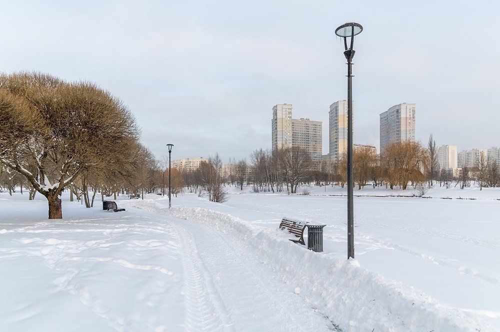 В зимнем парке у пруда