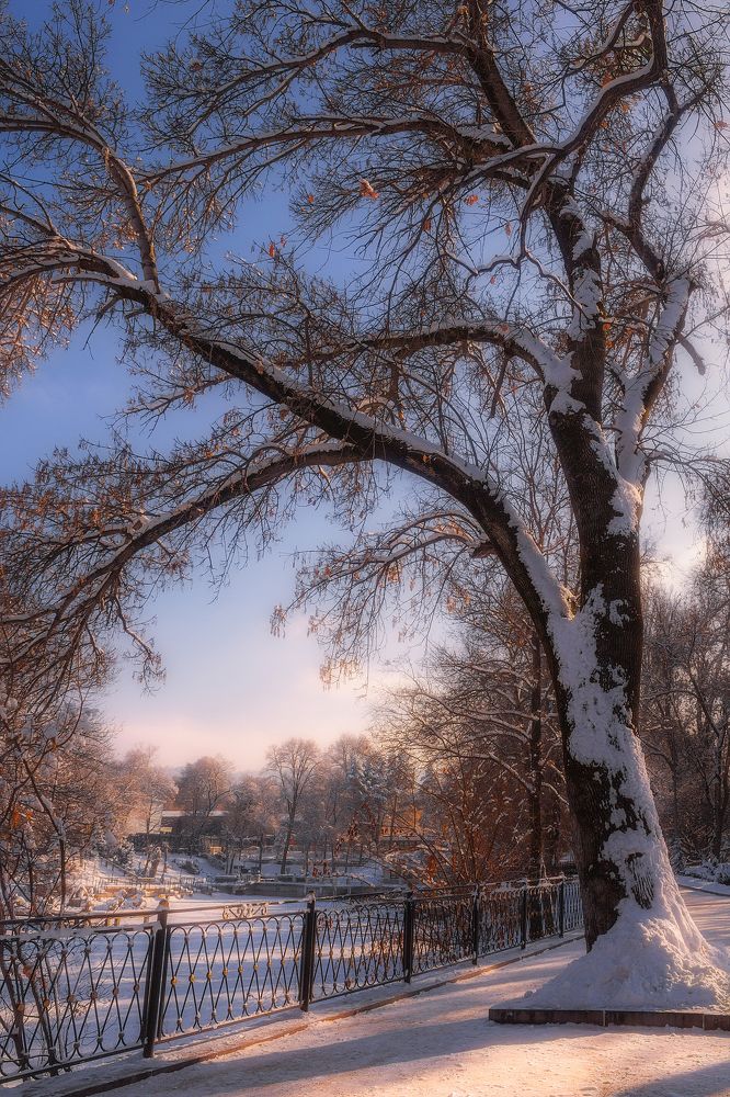 Зимние зарисовки...